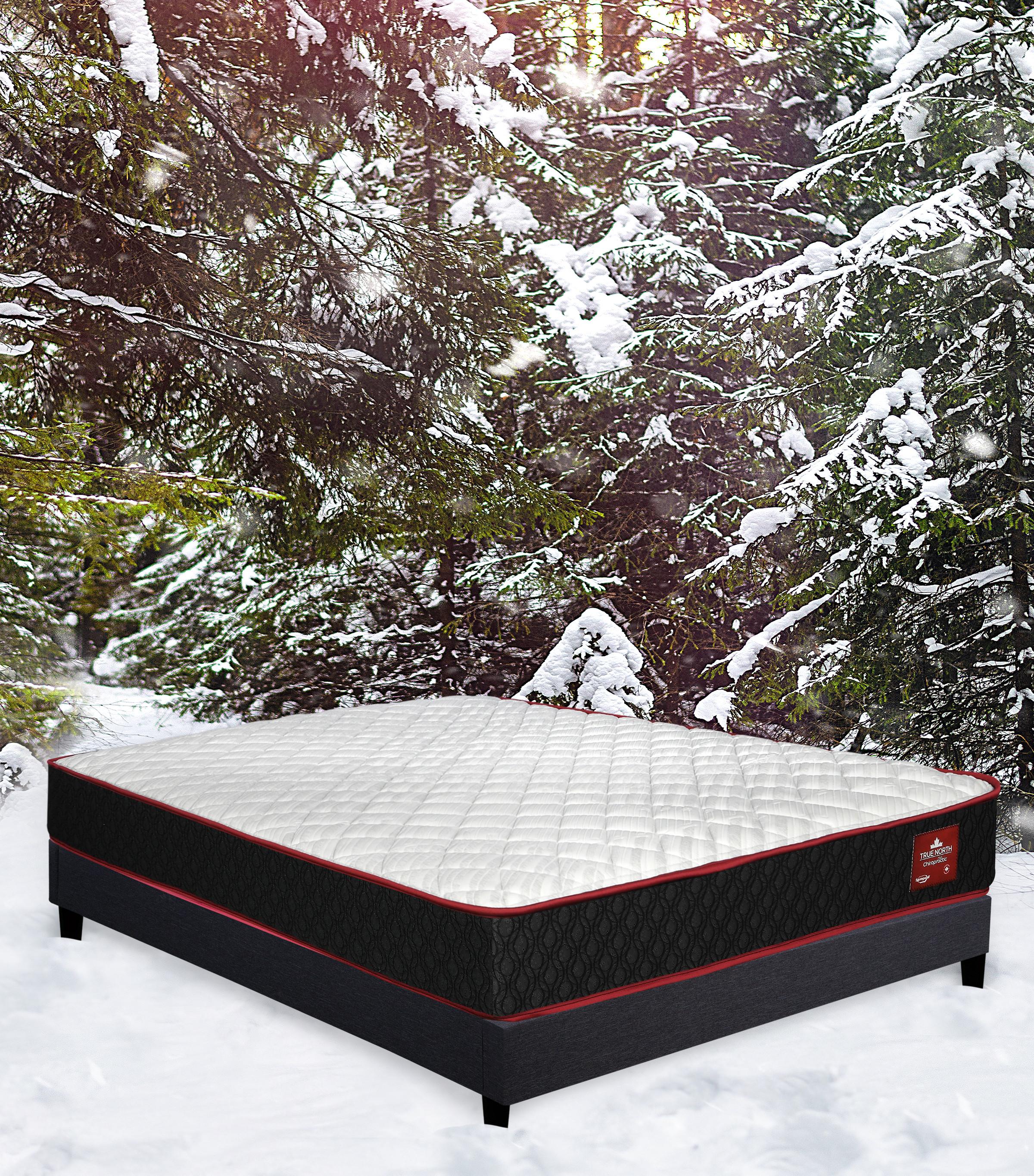 Rent to Own TRUE NORTH Chiropractic Montebello Tight Top Mattress at Aaron s today